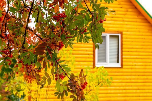 Garden Window Replacement in Greenville